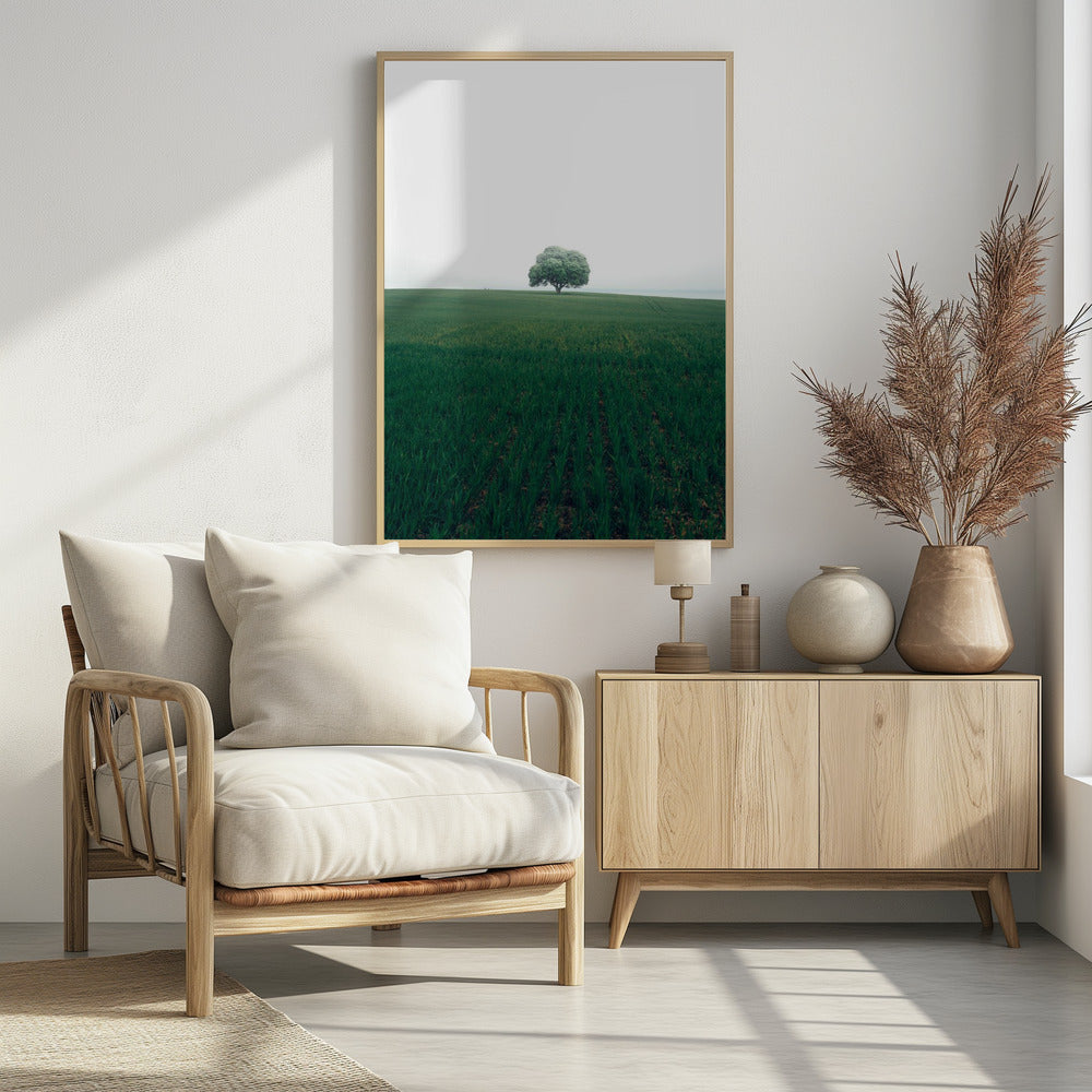 The lonely oak tree | Poster