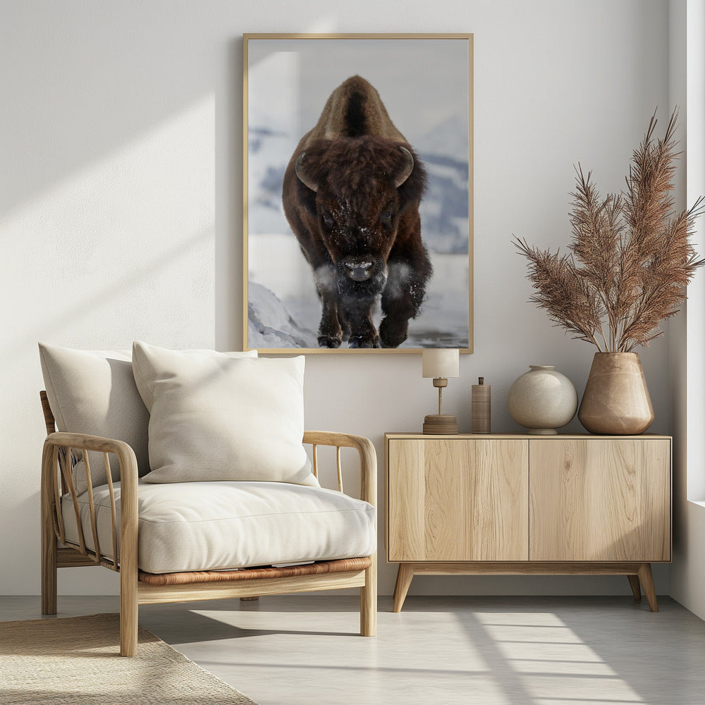 Bison Incoming | Poster