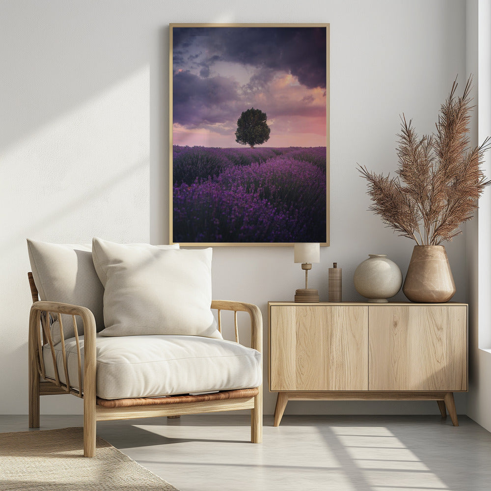 Lavender Fields, Isparta | Poster