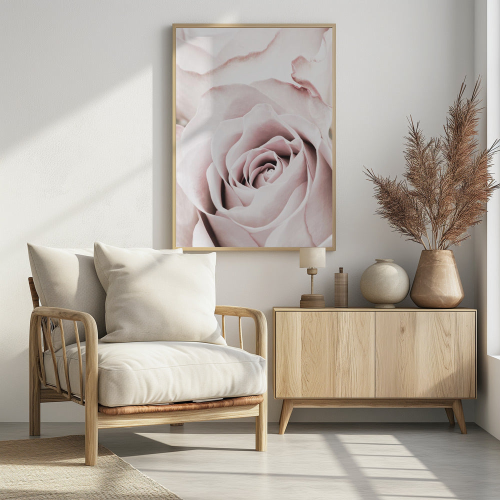 Pink Rose No 05 | Poster