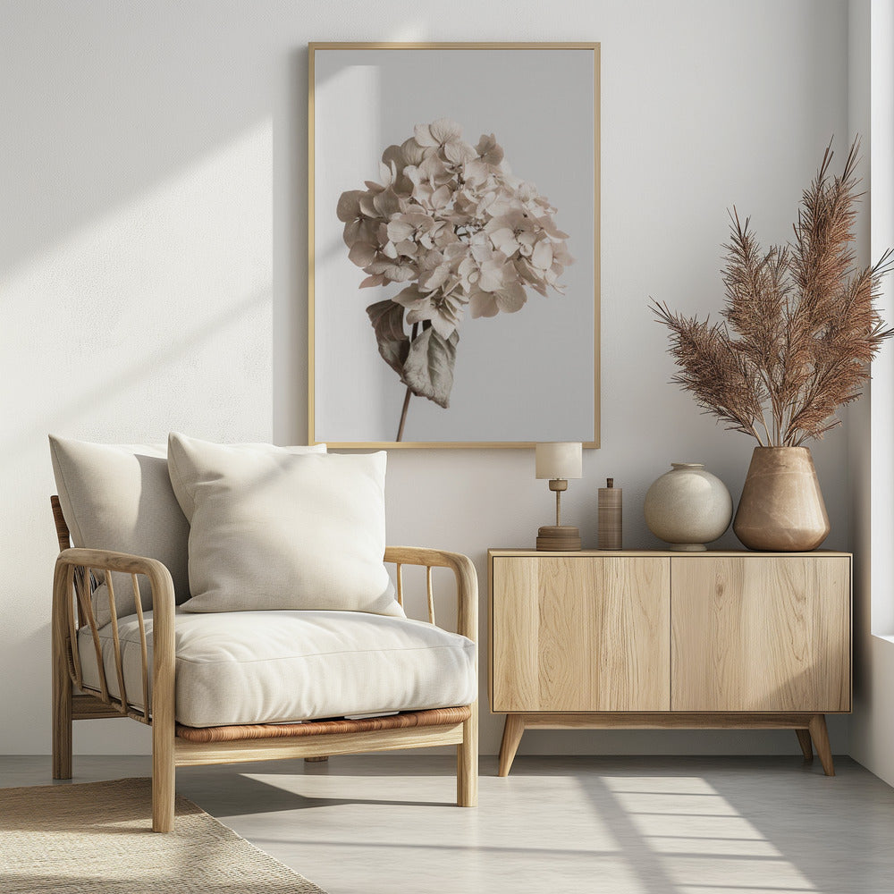 Beige dried flower | Poster