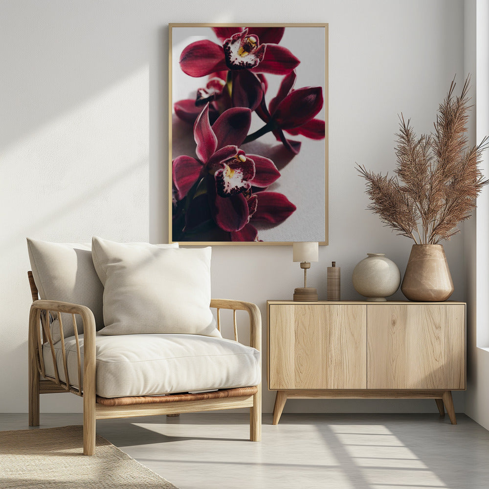 Red Orchids with Delicate Petals | Poster