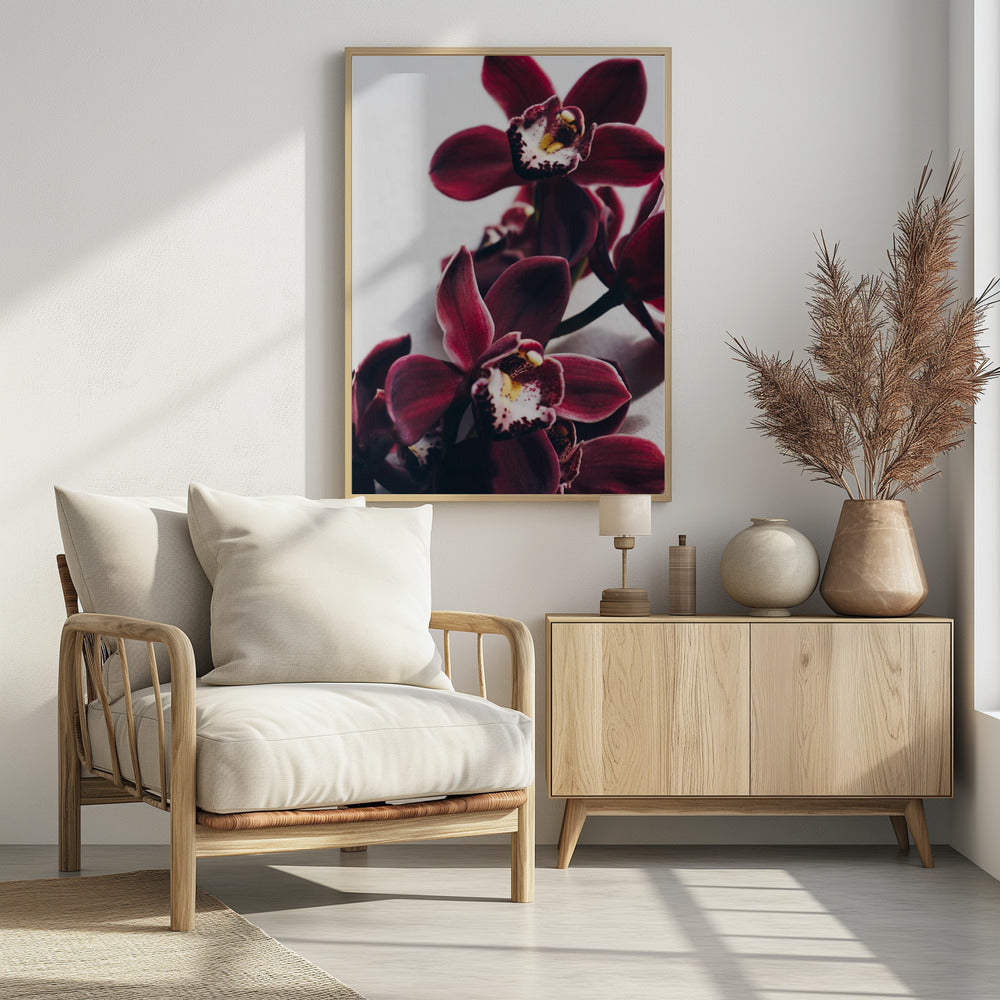 Velvet Orchid Twilight | Poster