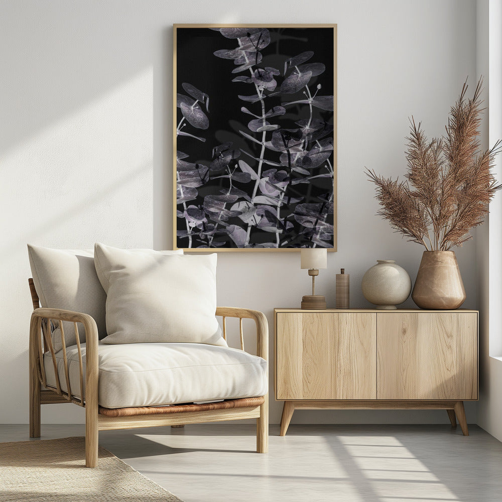 Eucalyptus_Negative_002 | Poster