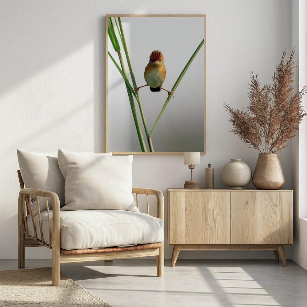 Kung Fu Master | Poster