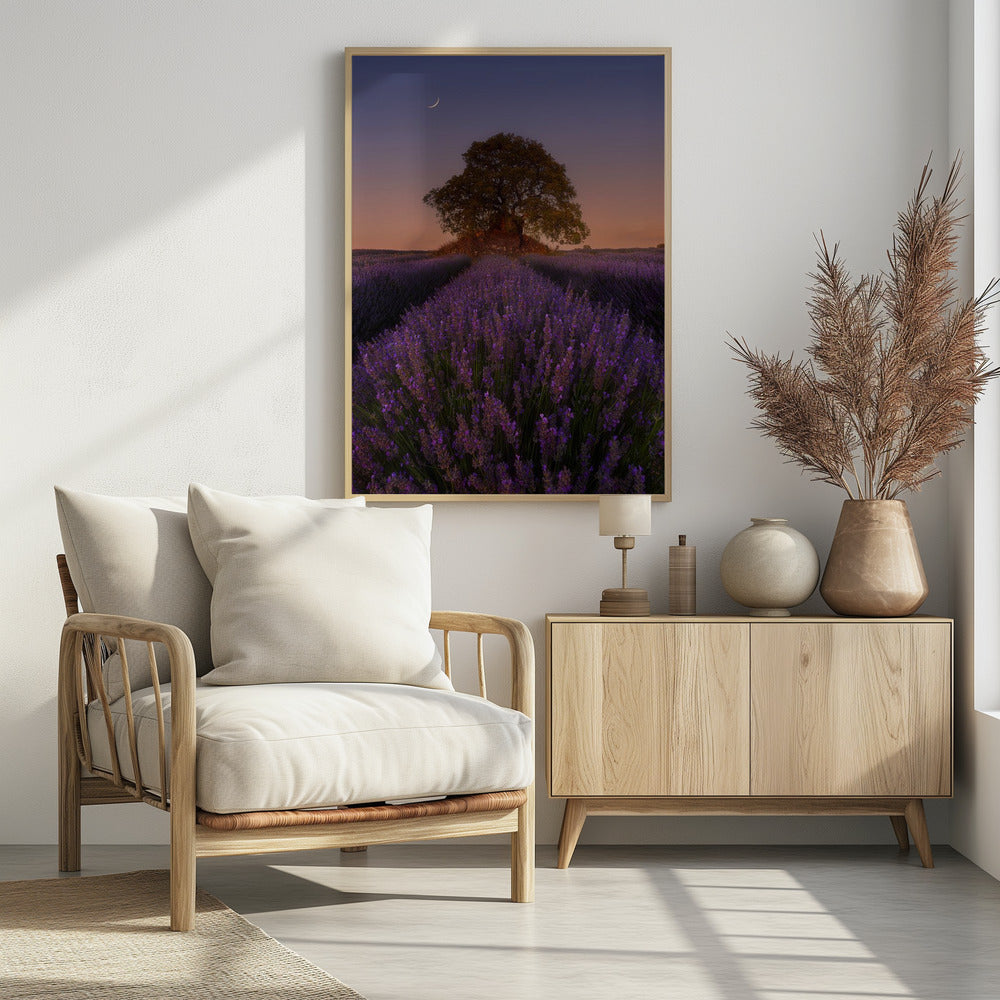 Lavender and Moon | Poster