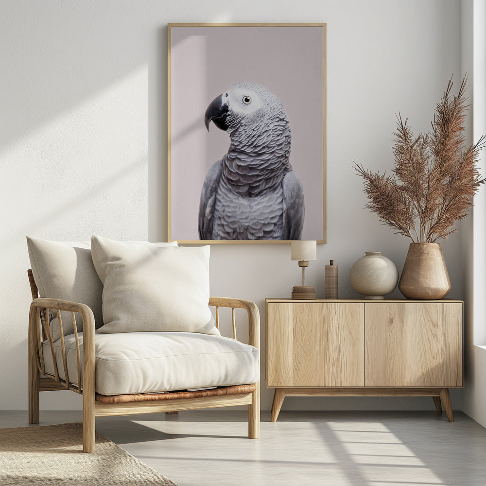 African Grey | Poster