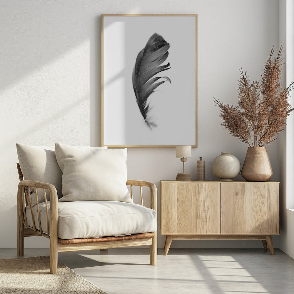 Feather | Poster