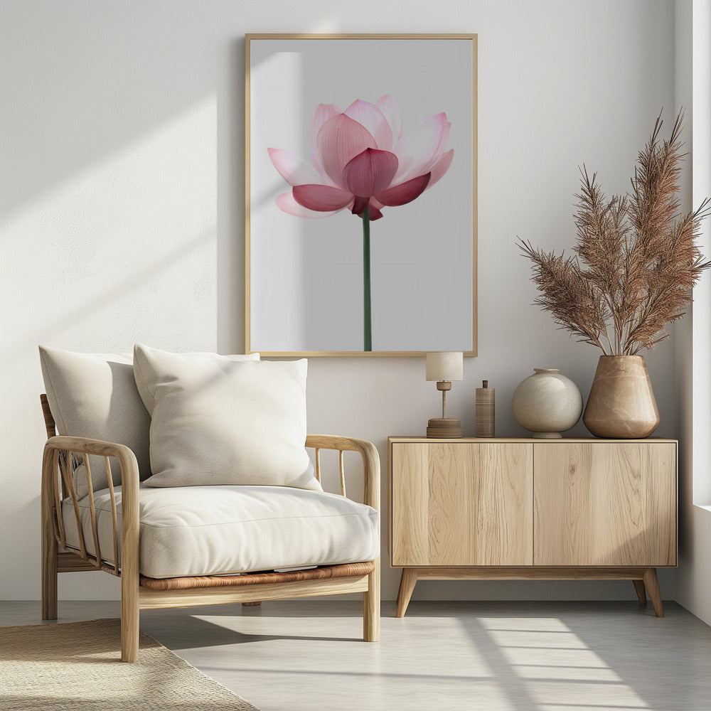 Lotus Flower | Poster