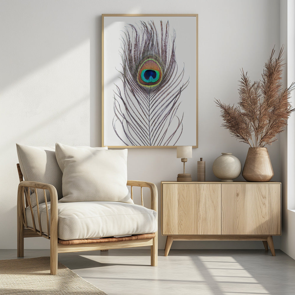 Peacock Feather | Poster