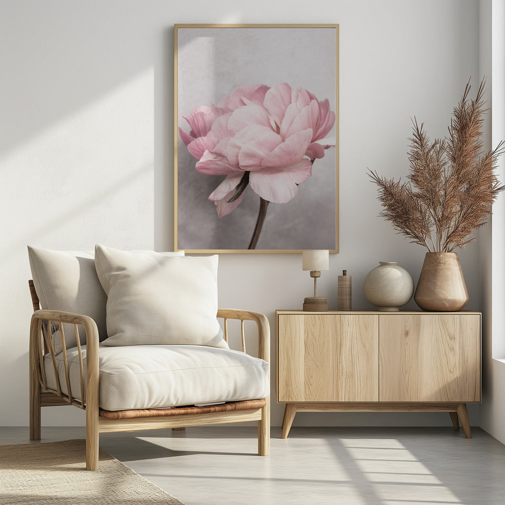 Peony | Poster