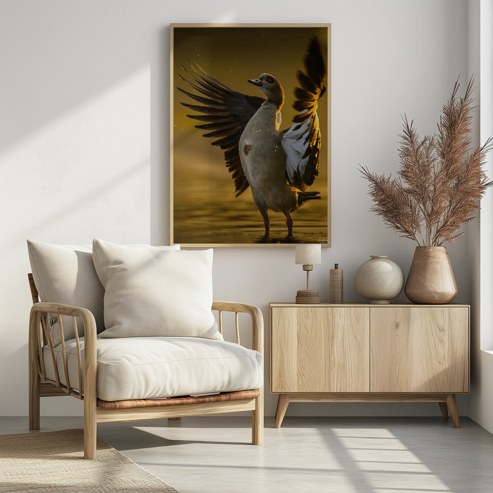 Open  Heart | Poster