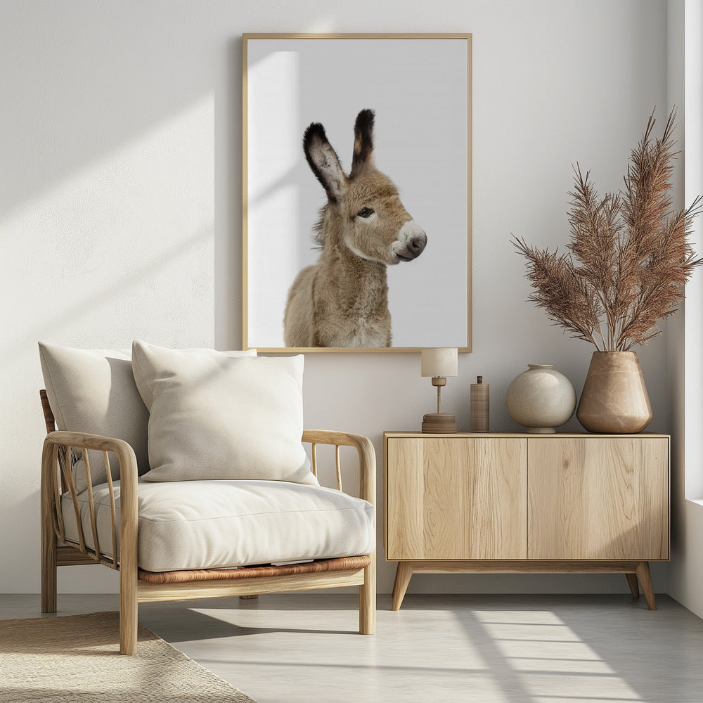 Baby Donkey | Poster