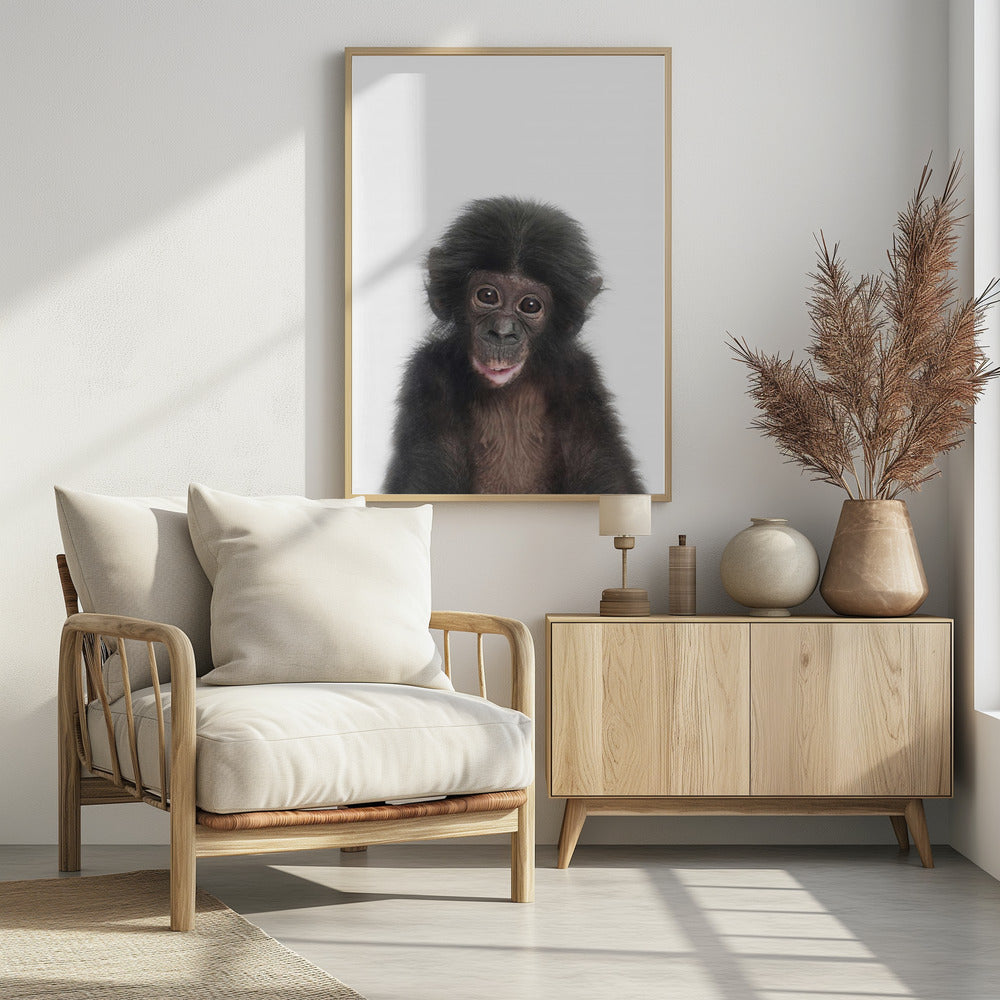 Baby Monkey | Poster