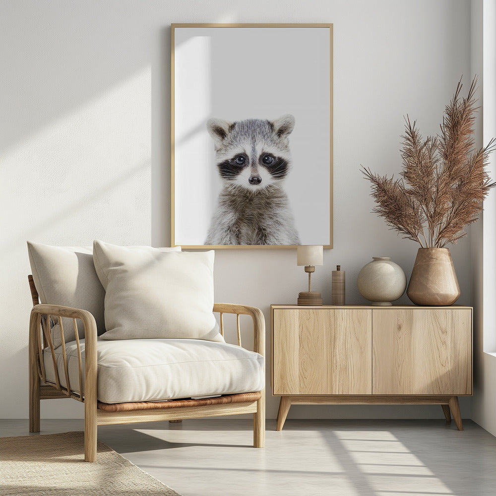 Baby Racoon | Poster