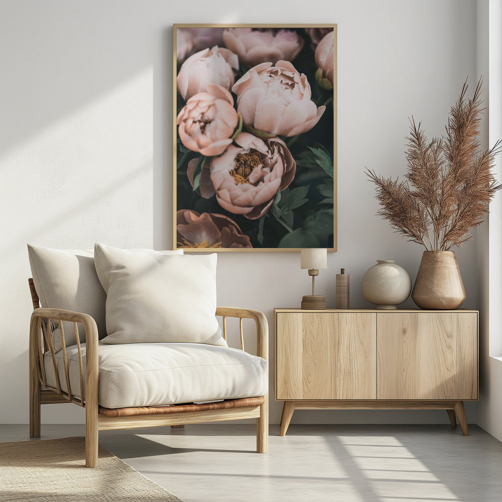Coral Peonies | Poster