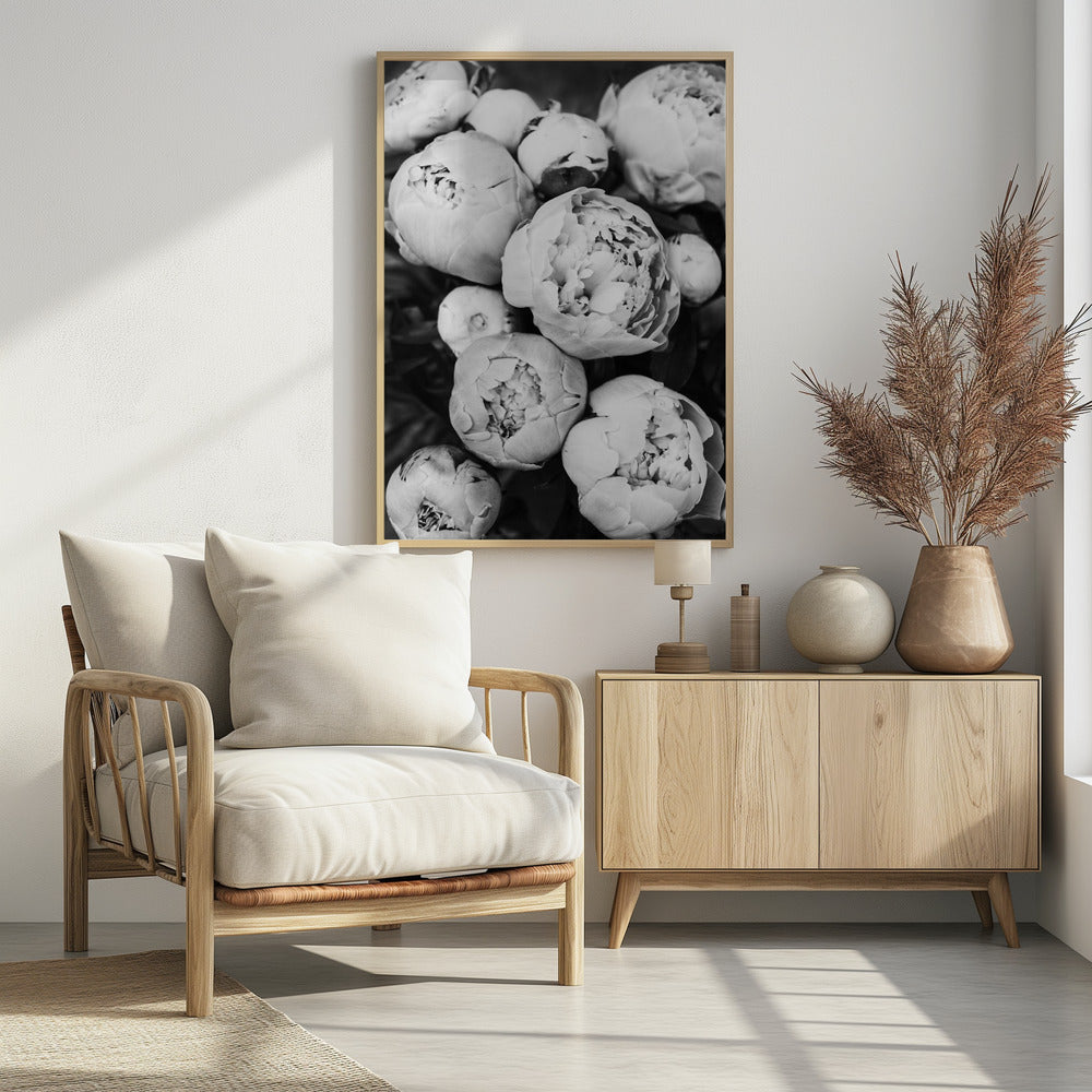 Peonies | Poster