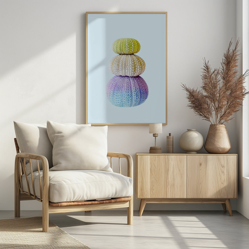 Sea Urchins | Poster