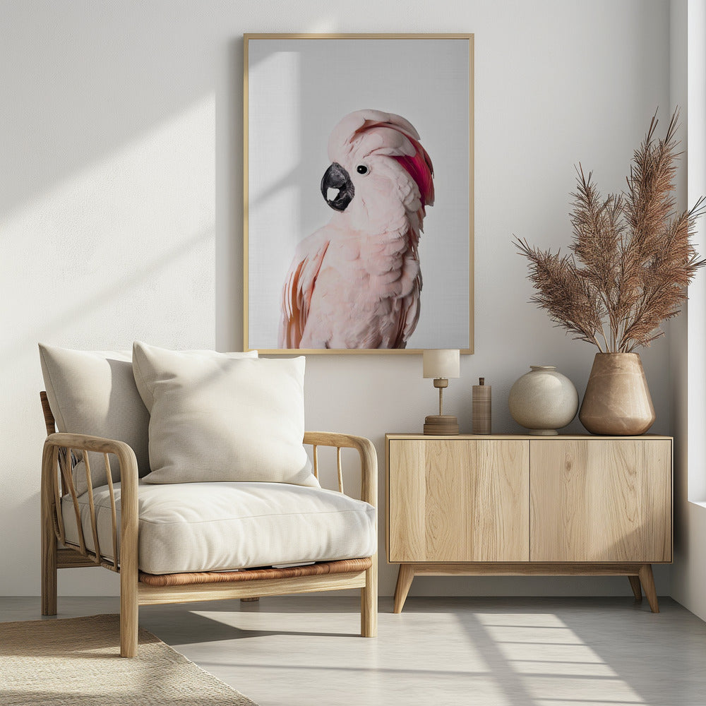 Pink Cockatoo | Poster