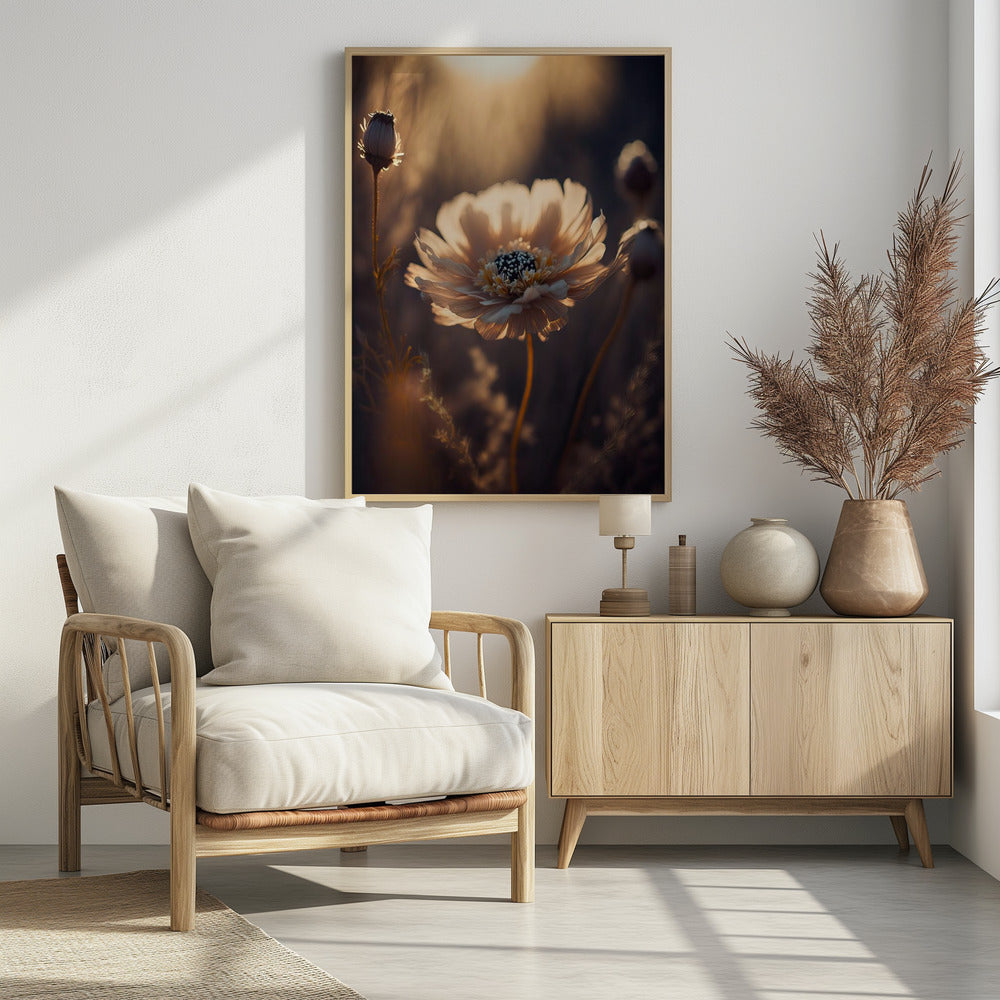 Sunlit Blossom | Poster