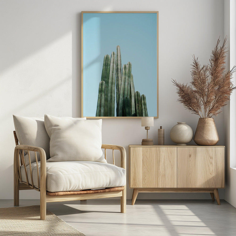 Cacti | Poster