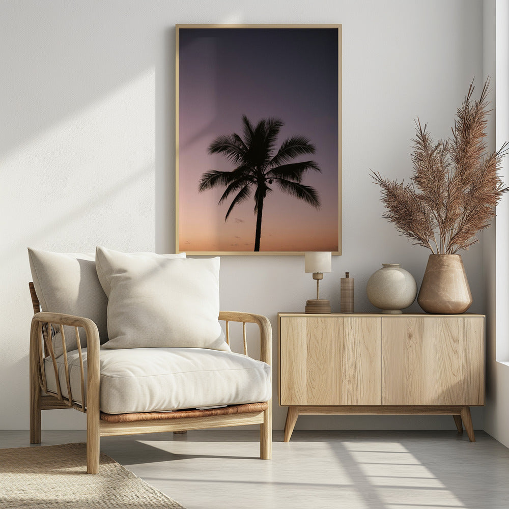Costa Rica Palm Tree | Poster