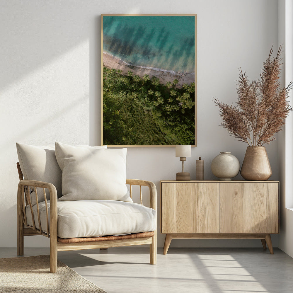 Palm Beach from Above | Poster