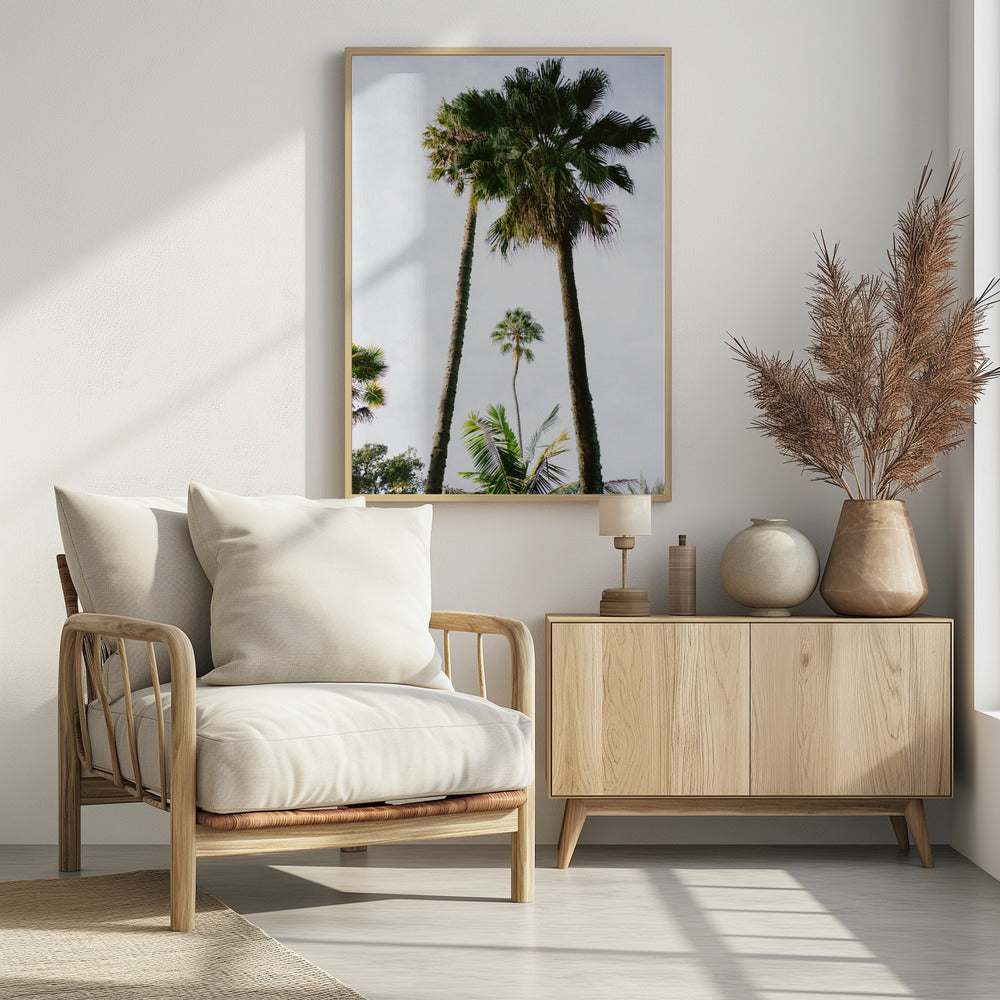 Find me under the Palm Tree | Poster