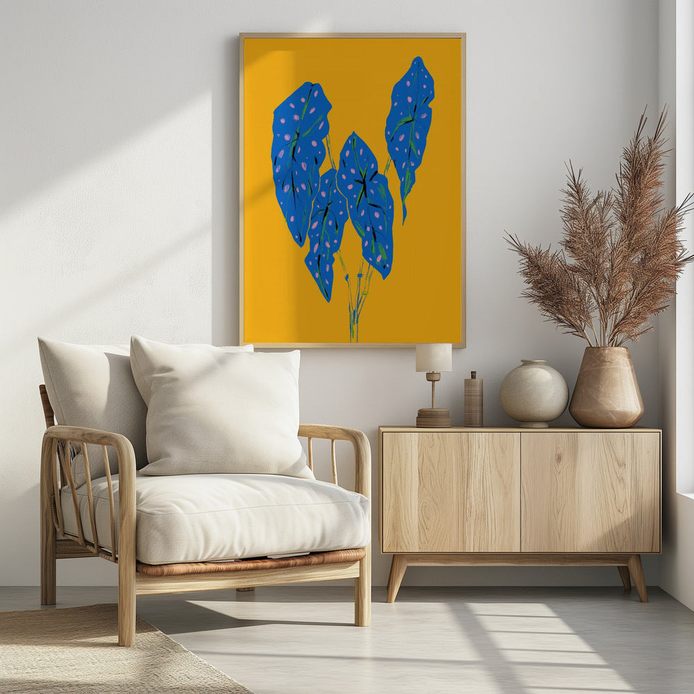 Begonia Maculata Blue and Yellow | Poster