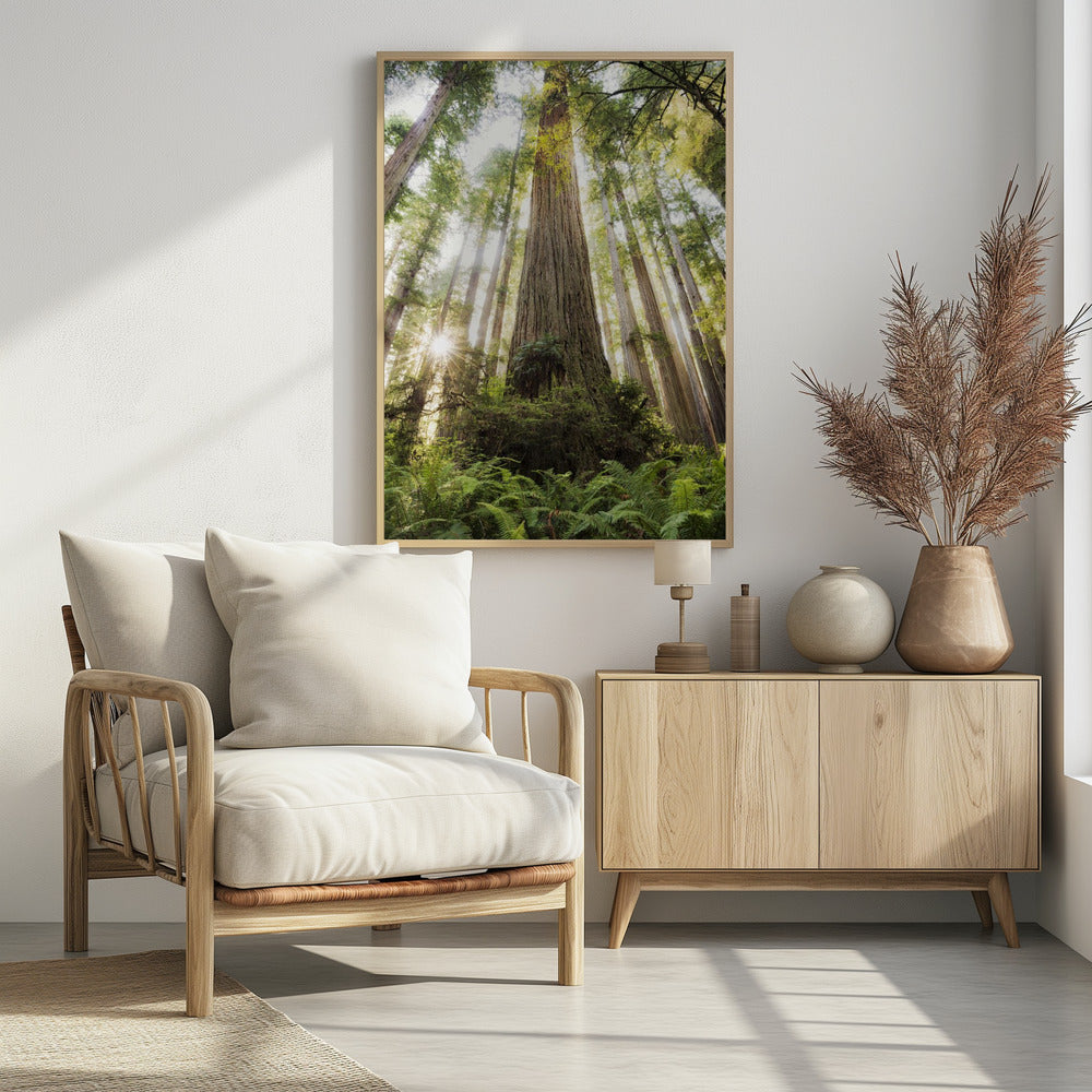 Beautiful Forest | Poster