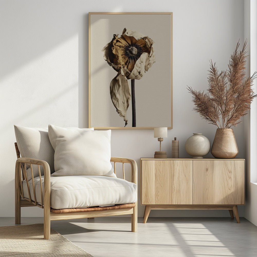 Fading Elegance | Poster