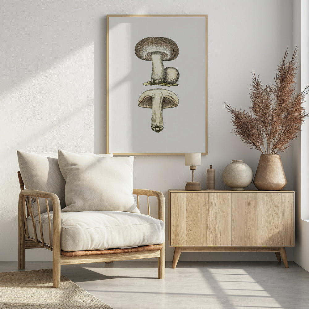 Hand Drawn Field Mushroom Gray | Poster