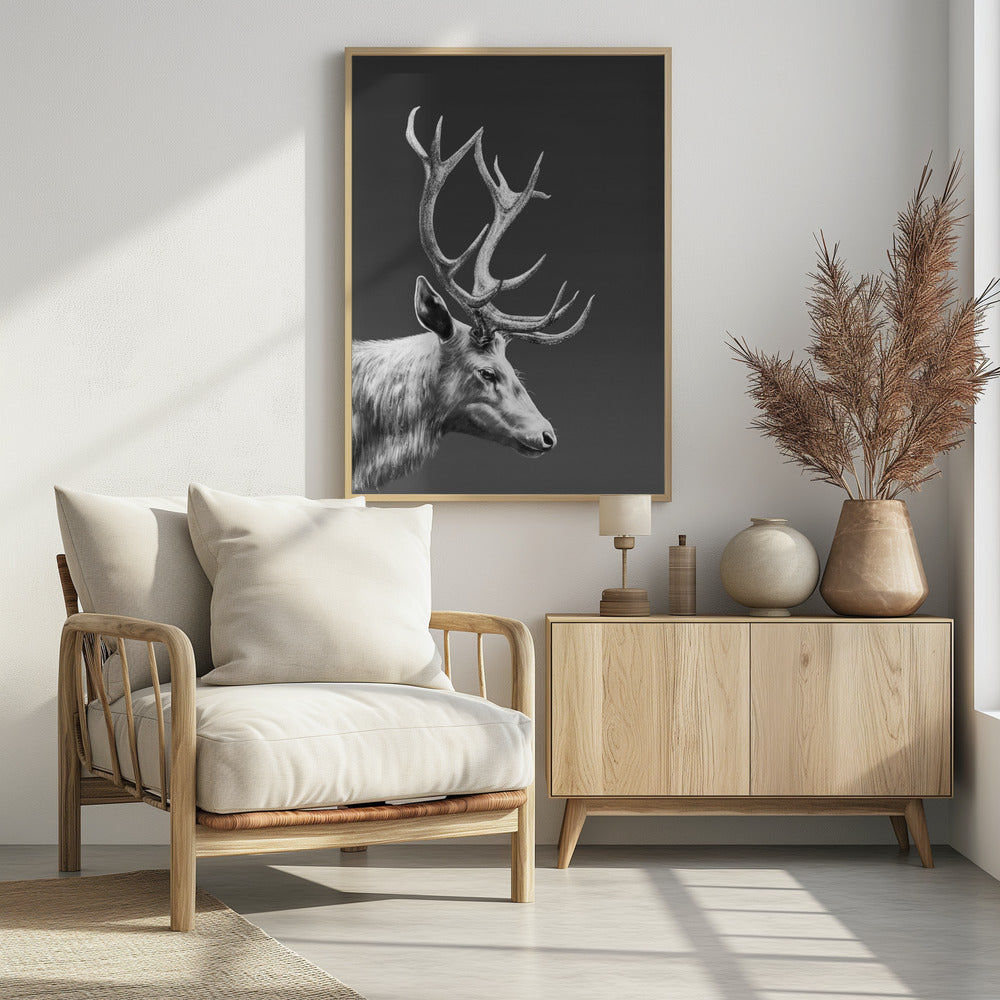Reindeer | Poster