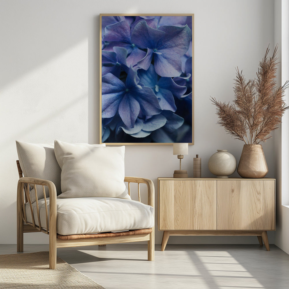 Vibrant Purple Hydrangea Flowers | Poster
