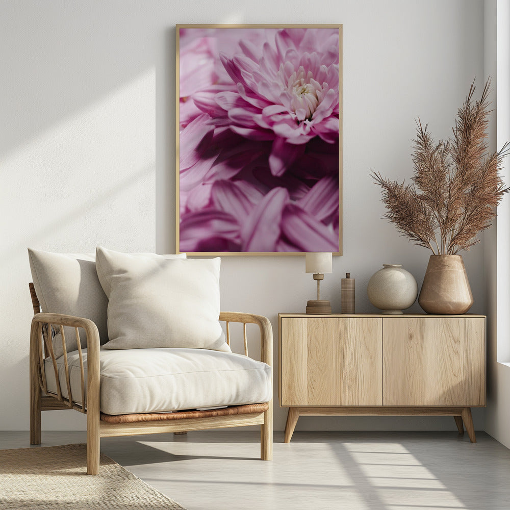 Pink Petal Symphony | Poster