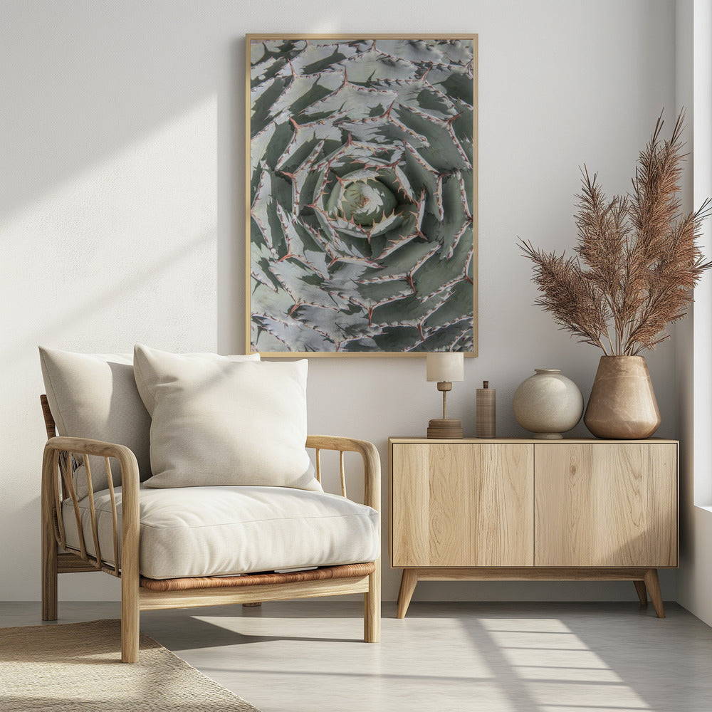 Spiral Succulent Maze | Poster