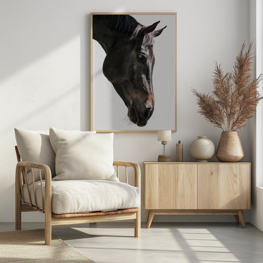 Gentle Equine Gaze | Poster