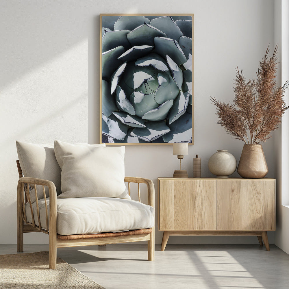 Agave Spiral Dance | Poster