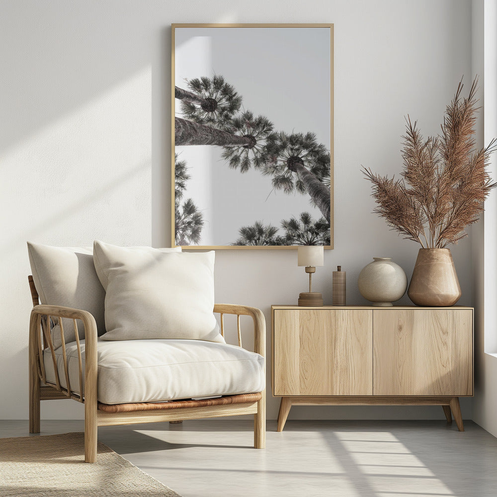 Skyward Palms | Poster