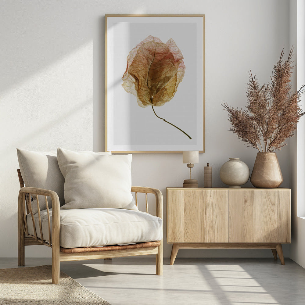 Veined Elegance | Poster