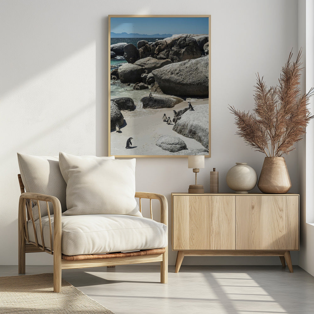 Penguin Cove Serenity | Poster