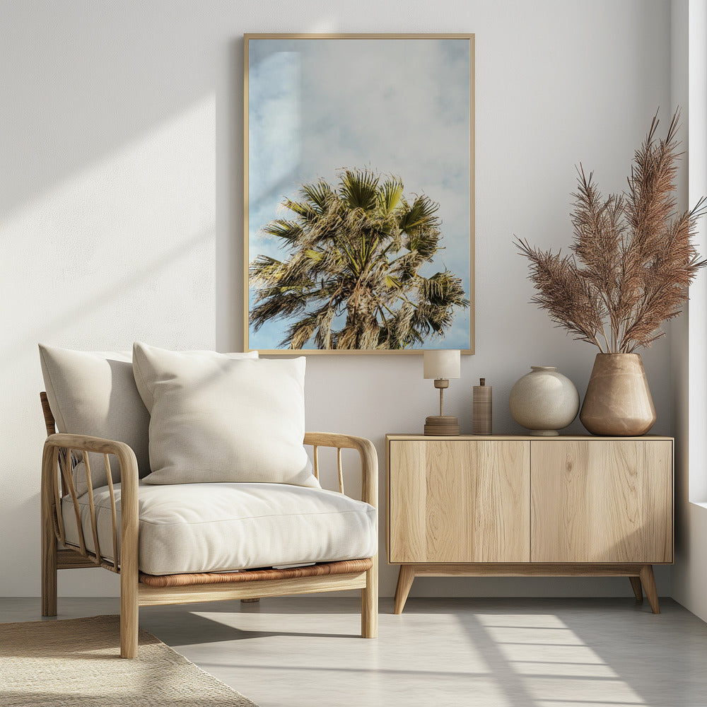 Sunlit Fronds | Poster