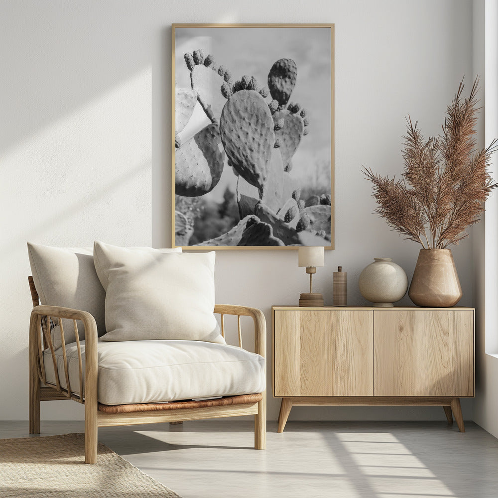 Desert Serenity | Poster