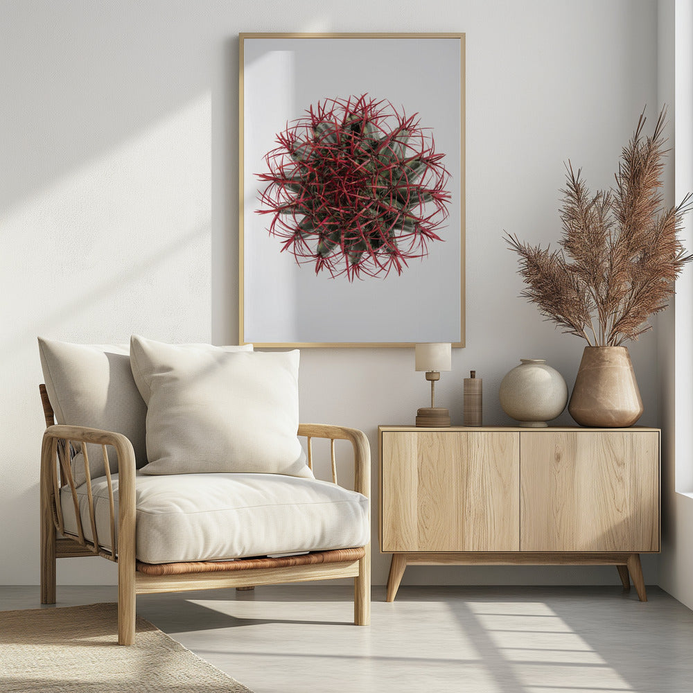 Crimson Cactus Crown | Poster