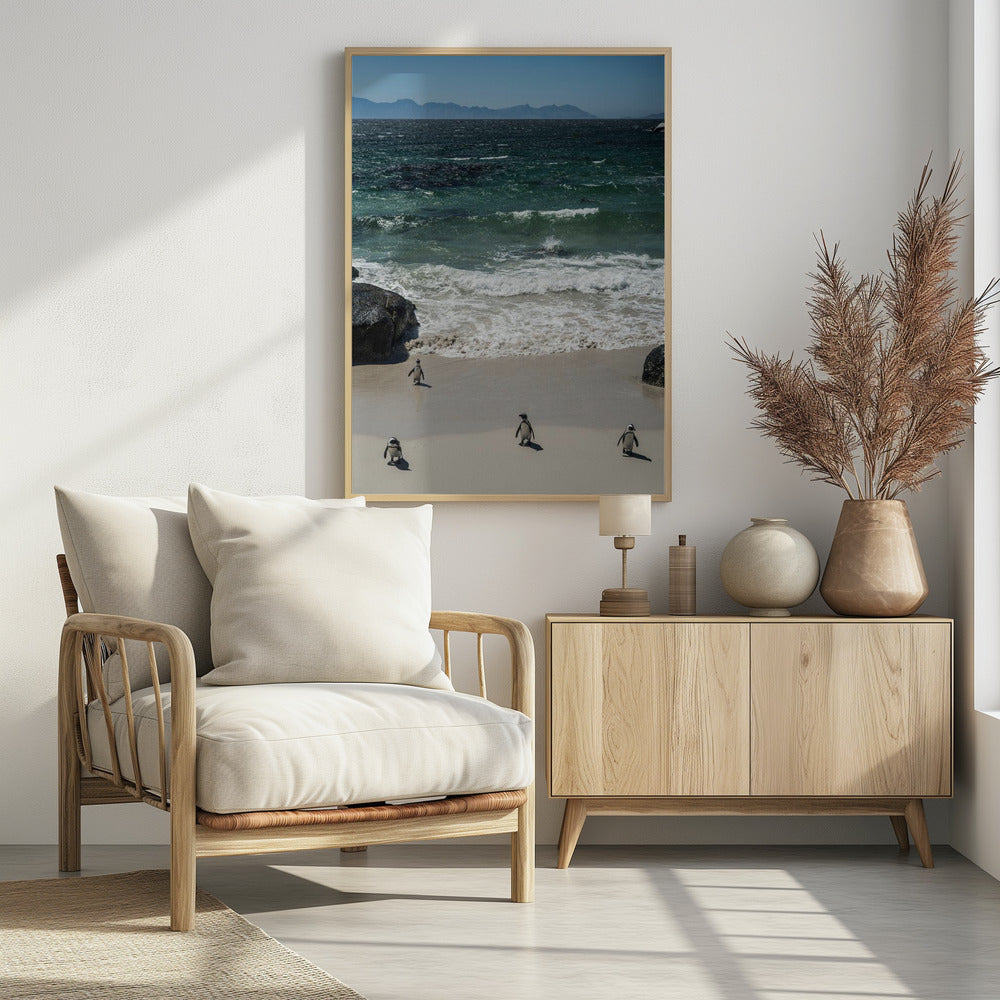 Penguin Beach Stroll | Poster