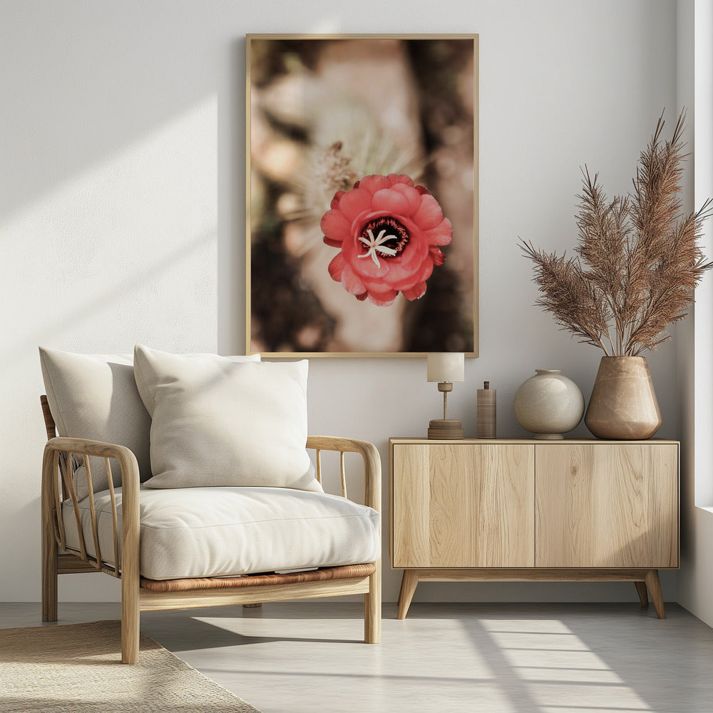 Desert Bloom Dance | Poster