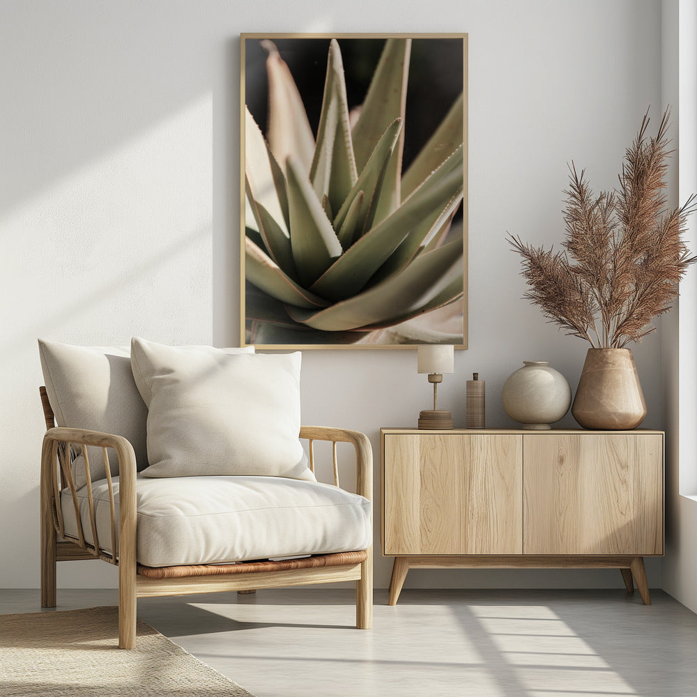 Sunlit Succulent | Poster