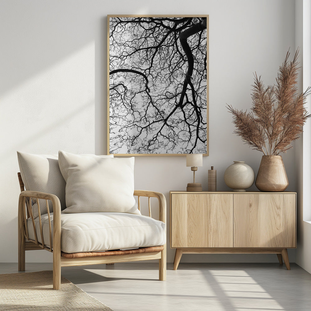 Branches&#039; Dance | Poster