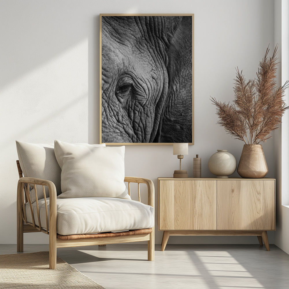 Wisdom&#039;s Wrinkles | Poster