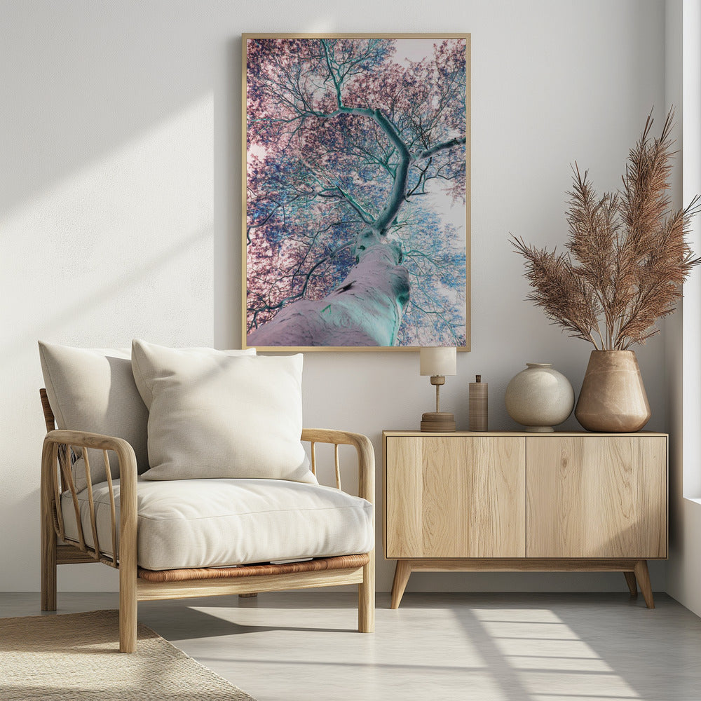 Dreamscape Canopy | Poster